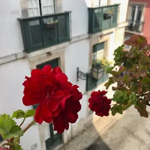 In The Heart Of , Lisbona Portogallo